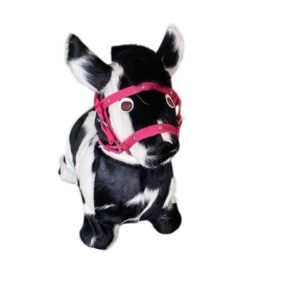 Animales saltarines con sonido naturales