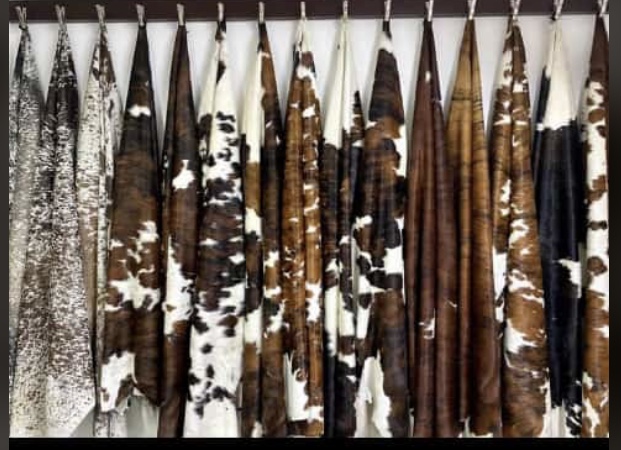 Animales saltarines con sonido naturales